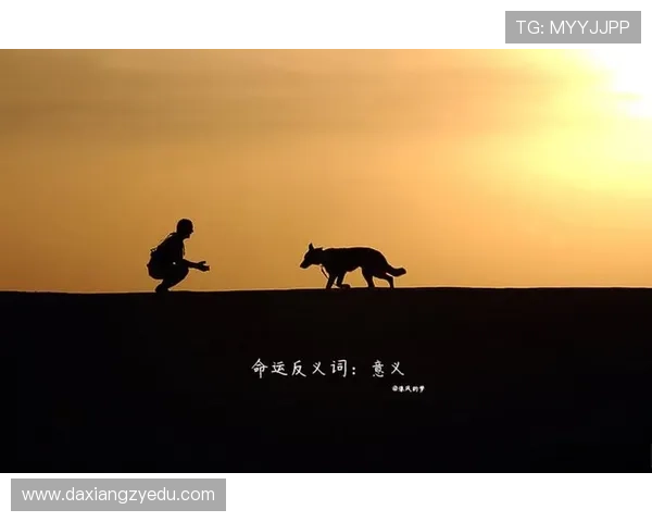 《出路》：现实的镜鉴，人性的考量，与选择的力量