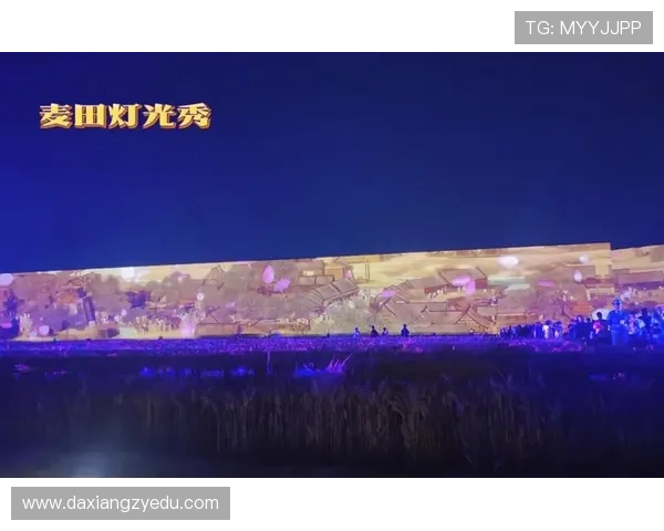 解密电视剧：一场视觉与心灵的盛宴